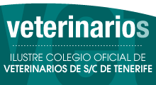 Cabecera